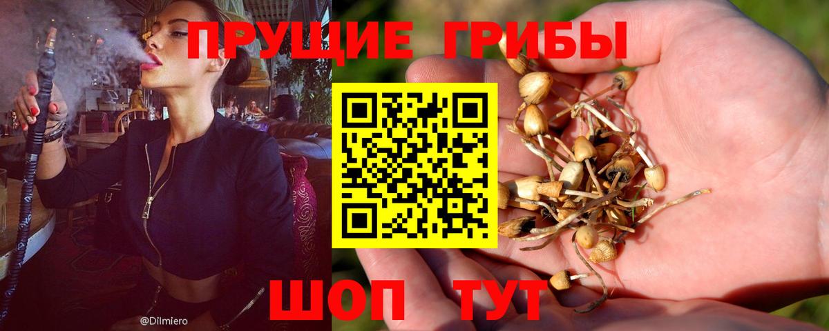 Псилоцибиновые грибы Magic Shrooms  Псилоцибиновые грибы MAGIC MUSHROOMS  Полысаево  Вход с VPN 